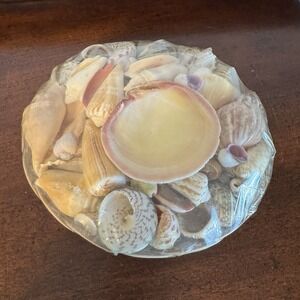 Basket of Sea Shells from the Philippines NOS Sealed